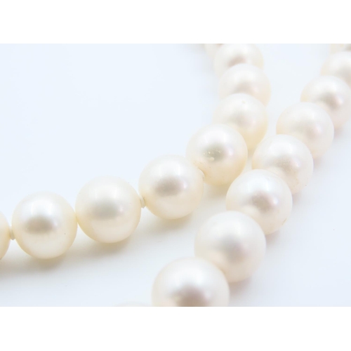 95 - Pearl Single Strand Necklace 14 Carat Yellow Gold Clasp 40cm Long Pearls of Attractive Cream Foam Hu... 