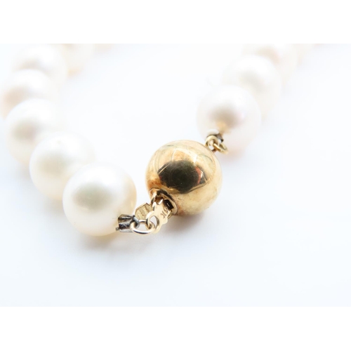 95 - Pearl Single Strand Necklace 14 Carat Yellow Gold Clasp 40cm Long Pearls of Attractive Cream Foam Hu... 