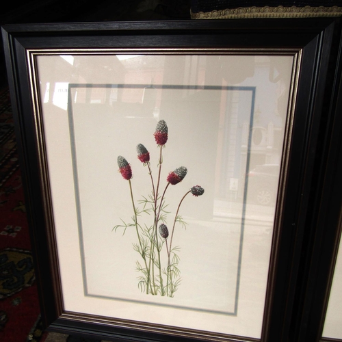 486 - Set of Four Framed Botanical Prints Attractively Detailed Each Approximately 14 Inches High x 10 Inc... 