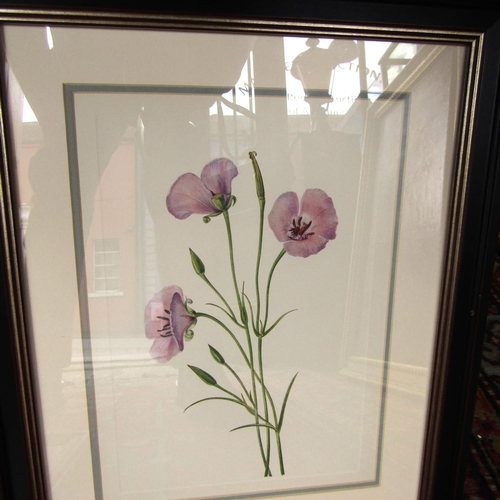 486 - Set of Four Framed Botanical Prints Attractively Detailed Each Approximately 14 Inches High x 10 Inc... 