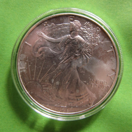 492 - American 1oz Fine Silver One Dollar Coin