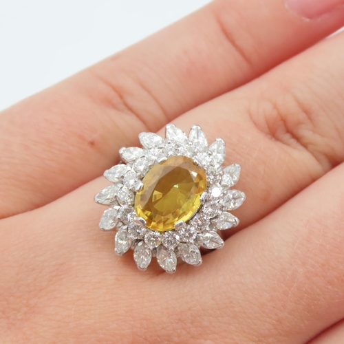 171 - Yellow Sapphire and Diamond Set Ladies Ring of High Colour Mounted on 18 Carat White Gold Band Size ... 