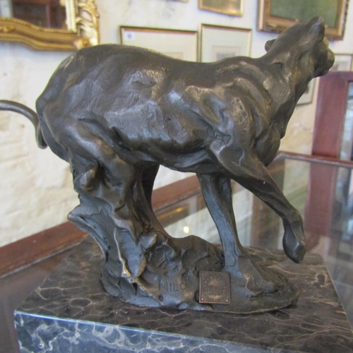 71 - Sprinting Cheetah Bronze Sculpture Mounted on Rectangular Form Marble Base Approximately 9 Inches Wi... 