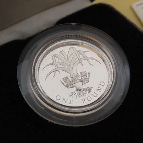 438 - Royal Mint Silver Proof One Pound Coin Contained within Original Presentation Case