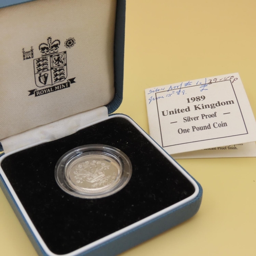 439 - 1989 Silver Proof One Pound Coin Contained within Original Presentation Case Encapsulated Mint