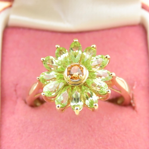 83 - Peridot and Citrine Cluster Ring Mounted on 9 Carat Yellow Gold Band Ring Size R