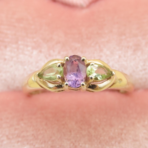 86 - Green and Purple Amethyst Three Stone Ring Mounted on 9 Carat Yellow Gold Band Ring Size R