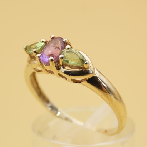 86 - Green and Purple Amethyst Three Stone Ring Mounted on 9 Carat Yellow Gold Band Ring Size R