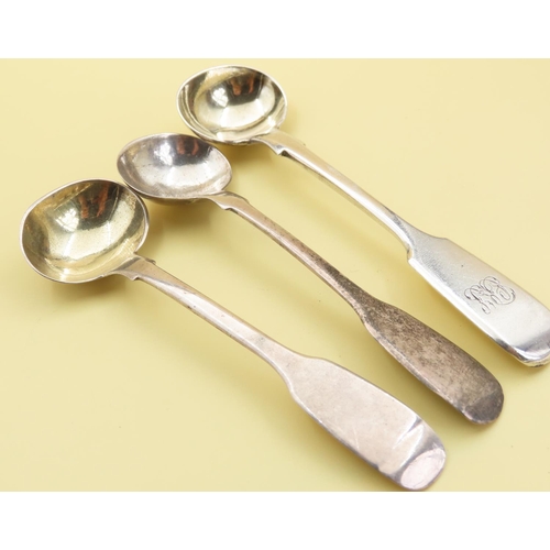 1069 - Three Solid Silver Mustard or Condiment Spoons Each Approximately 10cm Long