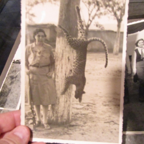 122 - Large Quantity of Edwardian Black and White Safari Photographs contained within Album Approximately ... 