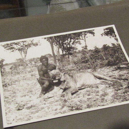 122 - Large Quantity of Edwardian Black and White Safari Photographs contained within Album Approximately ... 