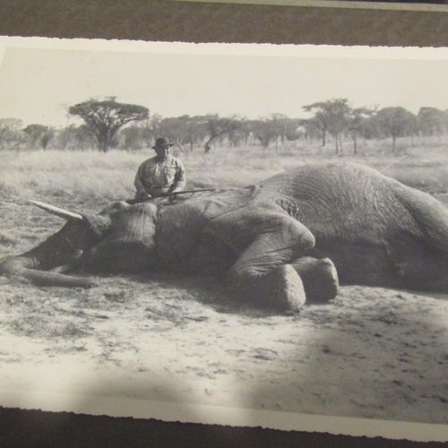 122 - Large Quantity of Edwardian Black and White Safari Photographs contained within Album Approximately ... 