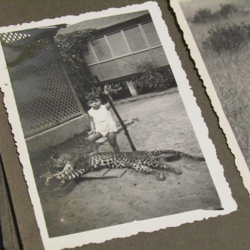 122 - Large Quantity of Edwardian Black and White Safari Photographs contained within Album Approximately ... 