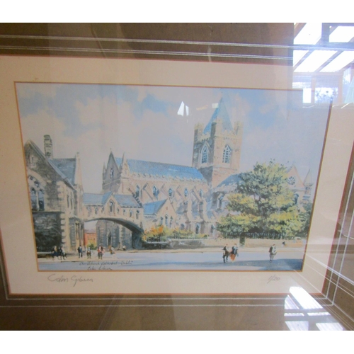 686 - Collection of Various Fine Art Lithographs Signed Including Colin Gibson Christchurch