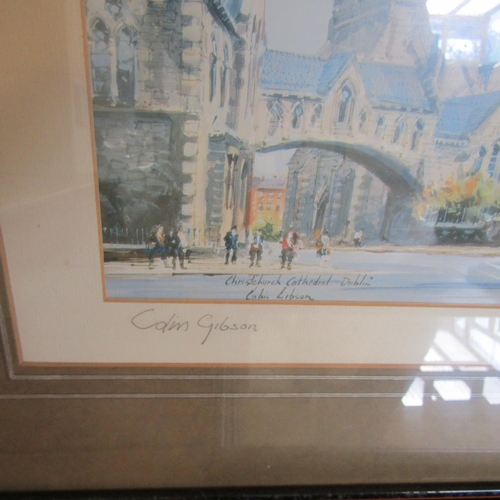 686 - Collection of Various Fine Art Lithographs Signed Including Colin Gibson Christchurch