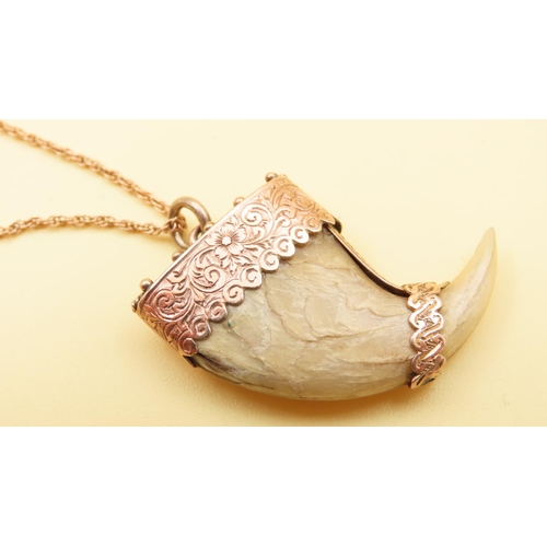 167 - Tiger's Claw Pendant Mounted in 9 Carat Rose Gold Further Set on 9 Carat Gold Chain 40cm Long