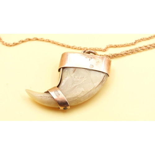 167 - Tiger's Claw Pendant Mounted in 9 Carat Rose Gold Further Set on 9 Carat Gold Chain 40cm Long