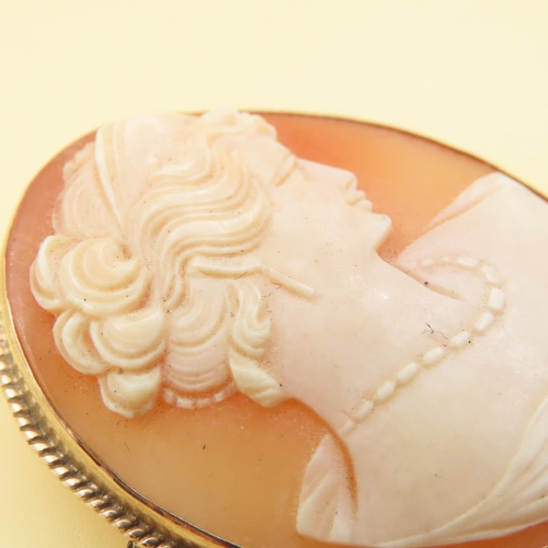 183 - 9 Carat Yellow Gold Bound Cameo Ladies Side Profile 4cm High