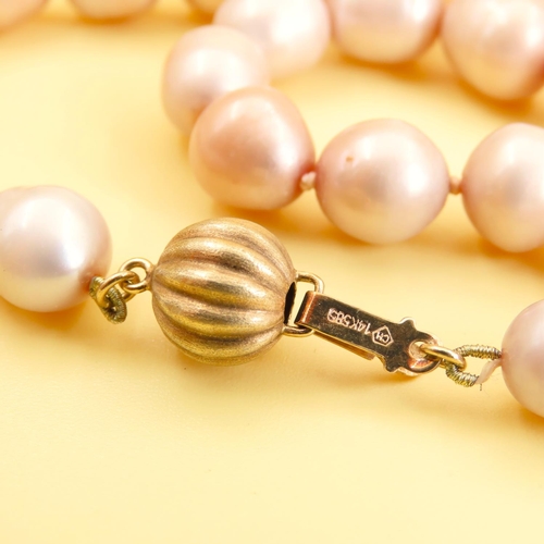 228 - Pearl Necklace 14 Carat Yellow Gold Clasp Single Strand 44cm Long