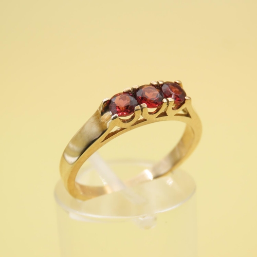 254 - Mozambique Garnet Three Stone Ring Mounted on a 9 Carat Yellow Gold Band Size N