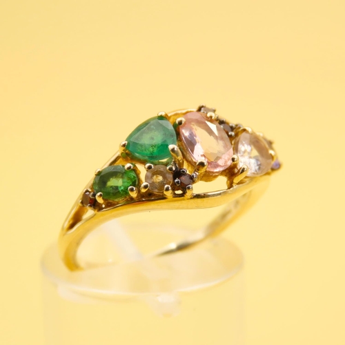 292 - Multi-Gem Cluster Ring Mounted on 10 Carat Yellow Gold Band Size N