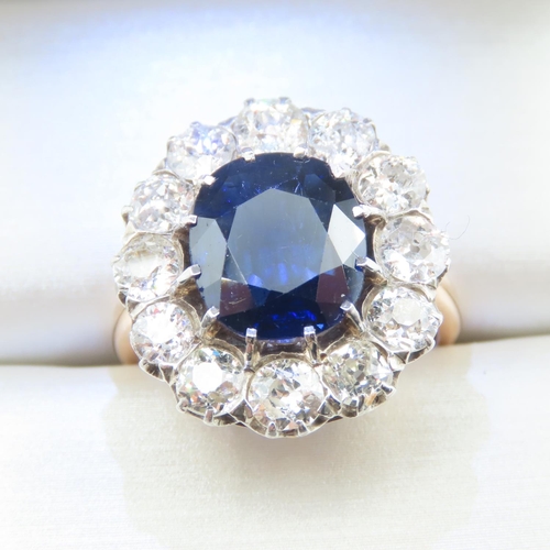 316 - Exceptional Burmese Sapphire and Diamond Ladies Cluster Ring Mounted on 18 Carat Rose Gold Band Size... 