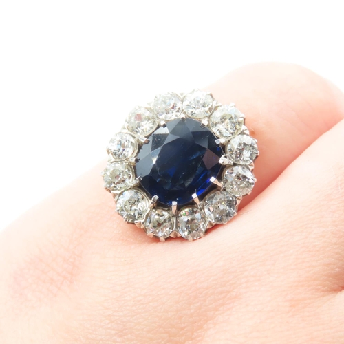 316 - Exceptional Burmese Sapphire and Diamond Ladies Cluster Ring Mounted on 18 Carat Rose Gold Band Size... 