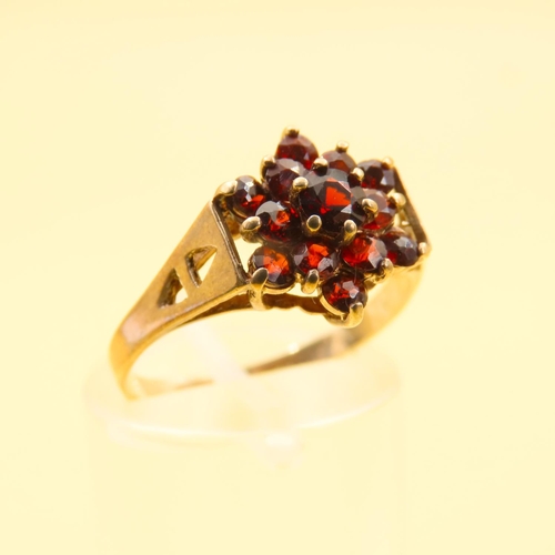 427 - Garnet Cluster Ring Mounted on 9 Carat Yellow Gold Band Ring Size O