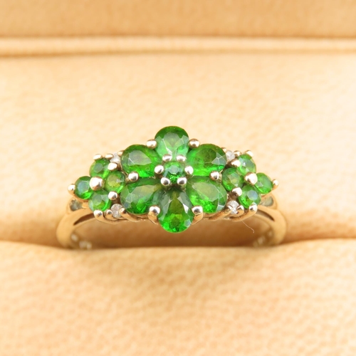 550 - Diopside Set Cluster Ring Mounted on 9 Carat Yellow Gold Band Size T