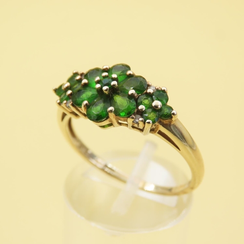 550 - Diopside Set Cluster Ring Mounted on 9 Carat Yellow Gold Band Size T