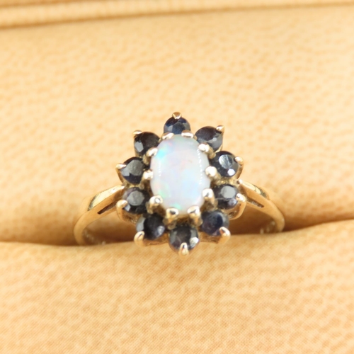 561 - Opal and Sapphire Ladies Cluster Ring Mounted on 9 Carat Yellow Gold Band Size N and a Half