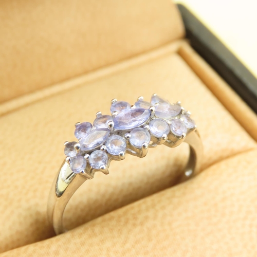 583 - Pale Amethyst Cluster Ring Mounted on 9 Carat White Gold Band Size T