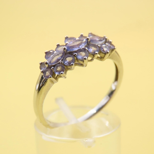 583 - Pale Amethyst Cluster Ring Mounted on 9 Carat White Gold Band Size T