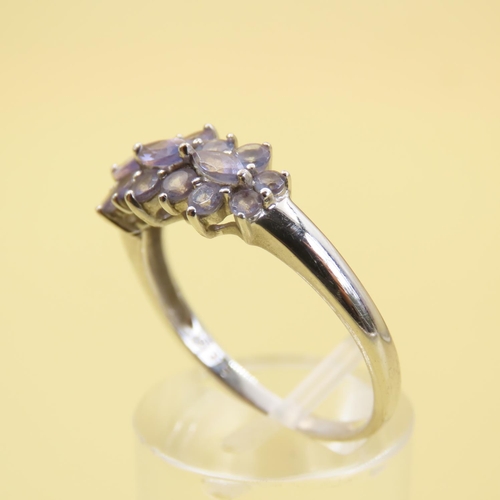 583 - Pale Amethyst Cluster Ring Mounted on 9 Carat White Gold Band Size T