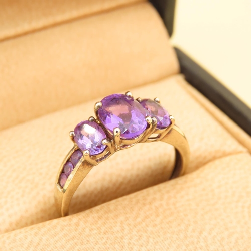 60 - Three Stone Amethyst Ring Mounted on 9 Carat Yellow Gold Band Further Amethyst Inset on Shoulders Ri... 
