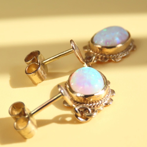 61 - Pair of Opal Drop Earrings Mounted on 9 Carat Yellow Gold Each 2cm Drop
