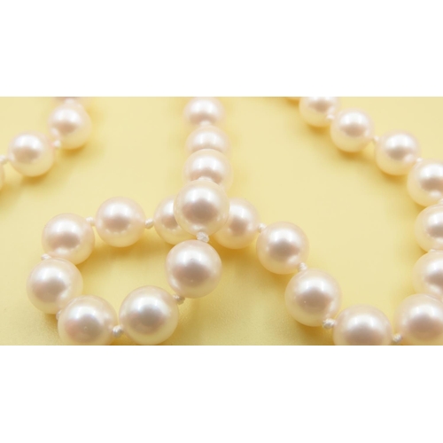 633 - Two Pairs of Pearl Necklaces with 9 Carat Yellow Gold Clasps As New Unworn