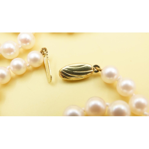 633 - Two Pairs of Pearl Necklaces with 9 Carat Yellow Gold Clasps As New Unworn