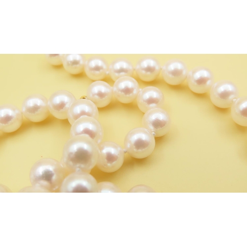 633 - Two Pairs of Pearl Necklaces with 9 Carat Yellow Gold Clasps As New Unworn