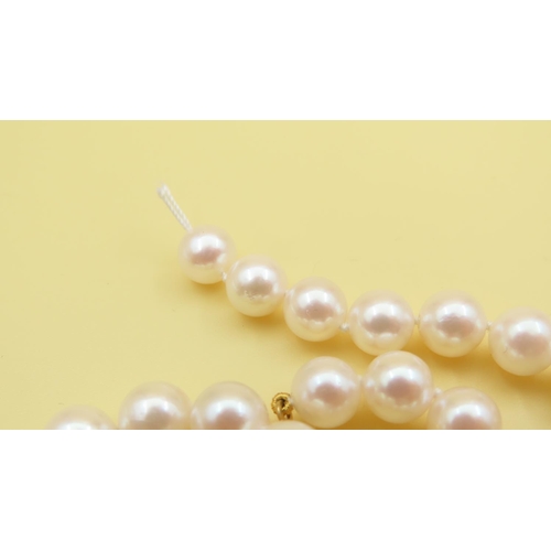 633 - Two Pairs of Pearl Necklaces with 9 Carat Yellow Gold Clasps As New Unworn