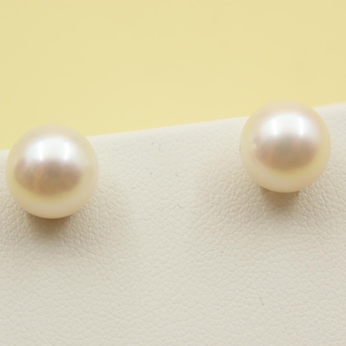 646 - Pair of Pearl Set Stud Earrings Mounted on 9 Carat Yellow Gold As New Unworn