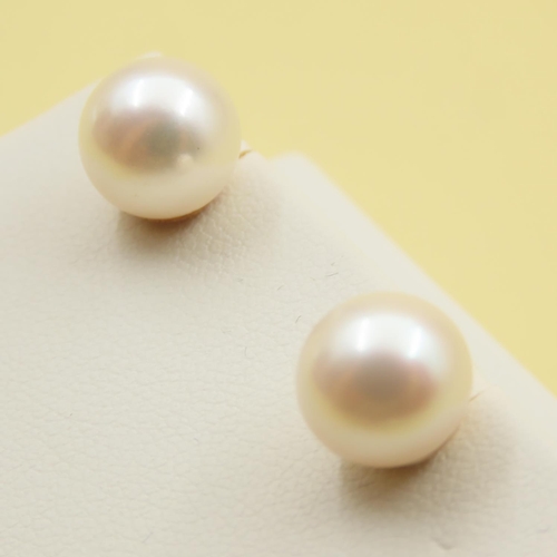 646 - Pair of Pearl Set Stud Earrings Mounted on 9 Carat Yellow Gold As New Unworn