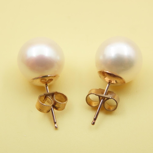 646 - Pair of Pearl Set Stud Earrings Mounted on 9 Carat Yellow Gold As New Unworn