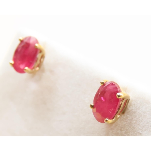 648 - Pair of Ruby Set 9 Carat Yellow Gold Stud Earrings As New Unworn