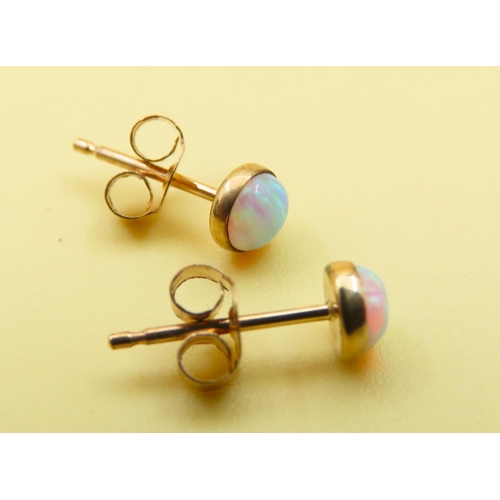 650 - Pair of Opal Set 9 Carat Yellow Gold Stud Earrings As New Unworn