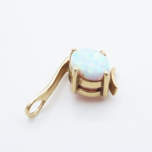 1008 - Opal Set 14 Carat Yellow Gold Pendant 2.5cm High