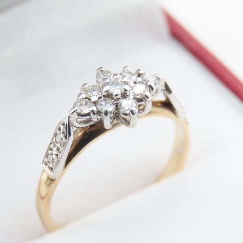 1016 - Ladies Diamond Cluster Ring Set in Platinum Mounted in 9 Carat Yellow Gold Ring Size L