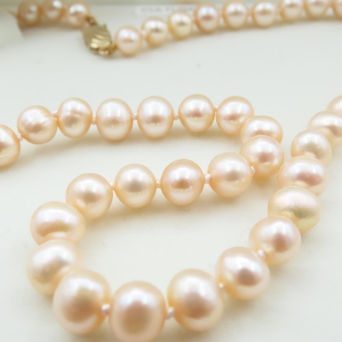 1044 - Noriko Pearl Necklace with 9 Carat Yellow Gold Clasp 40cm Long with Original Presentation Box As New... 