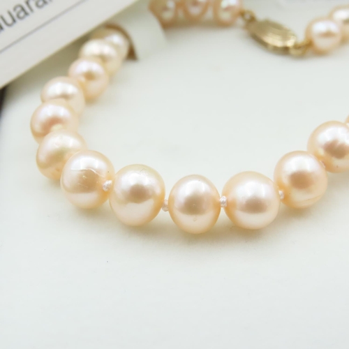 1044 - Noriko Pearl Necklace with 9 Carat Yellow Gold Clasp 40cm Long with Original Presentation Box As New... 