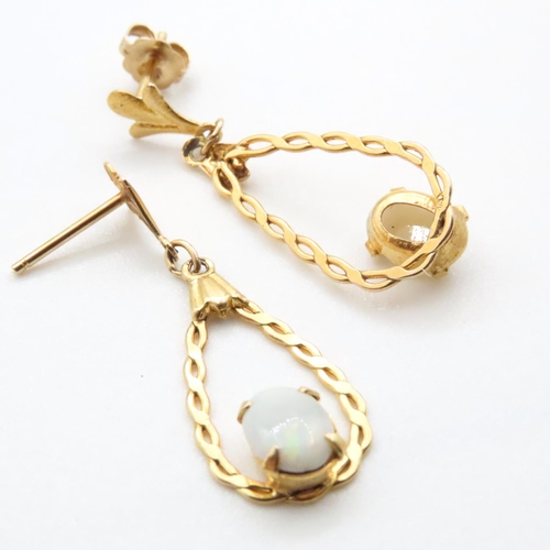 1054 - Pair of 14 Carat Yellow Gold Opal Set Drop Earrings 2.5cm High